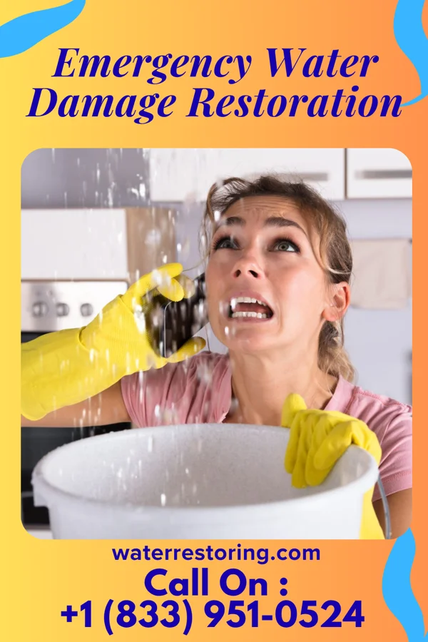 Emergency Water Damage Restoration in Spring Park, MN