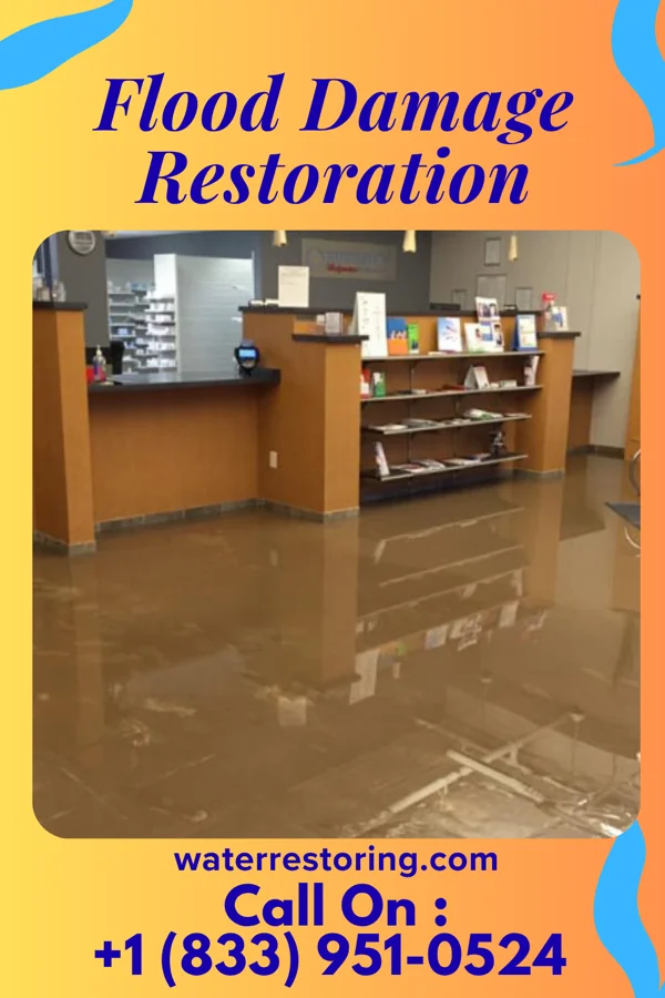Flood Damage Restoration in Spring Park, MN