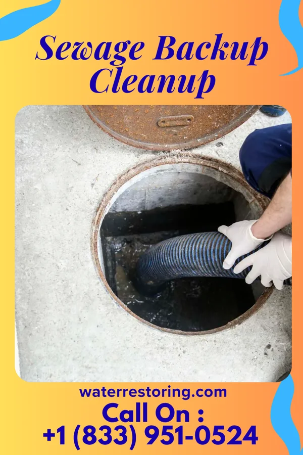 Sewage Backup Cleanup in Spring Park, MN